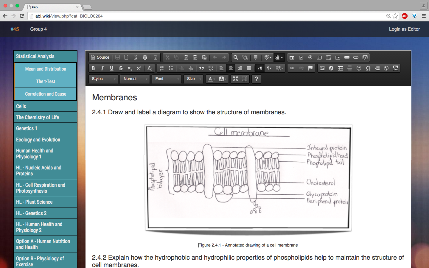 Editor Page