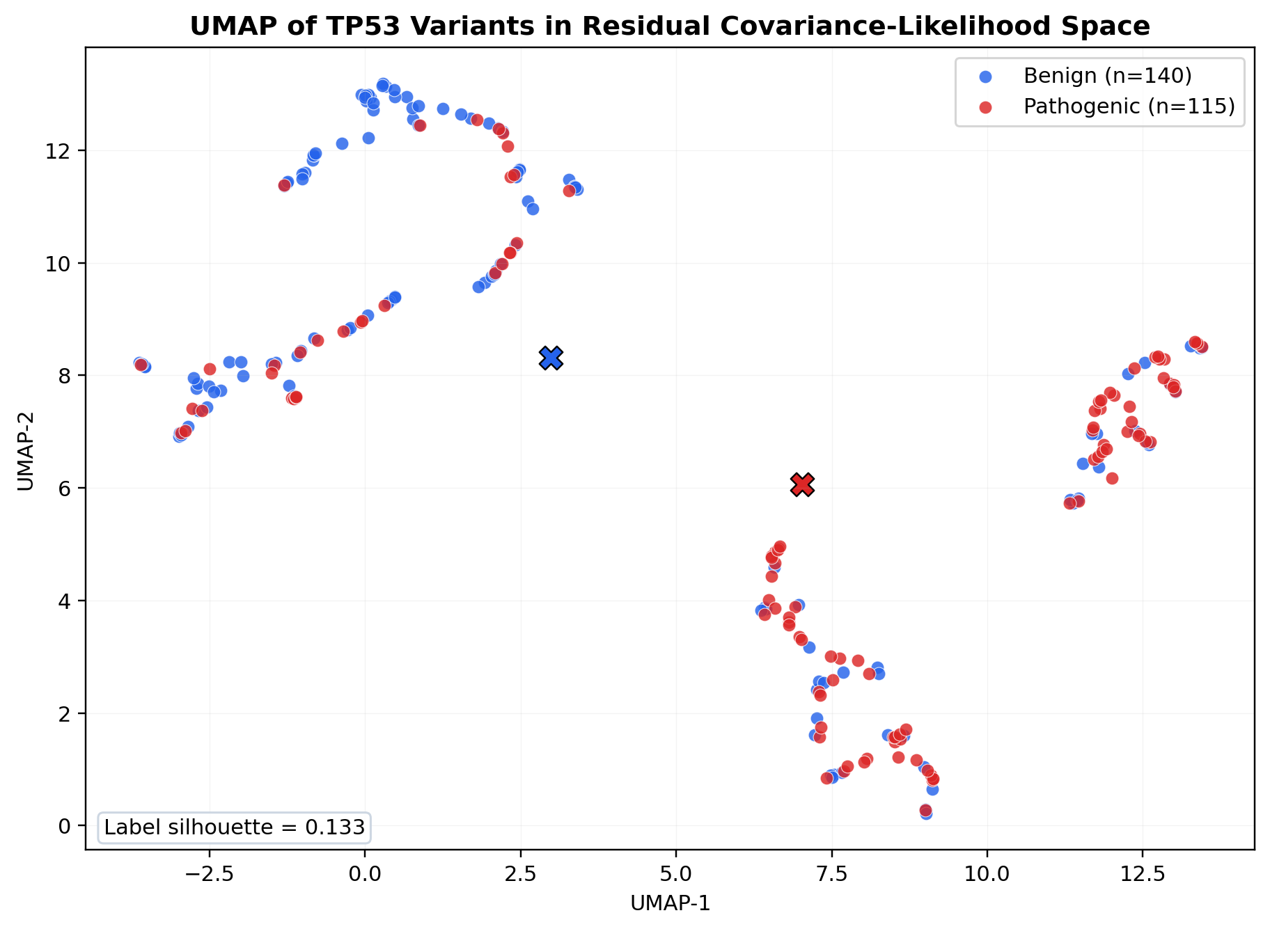 Figure 2. UMAP projection of TP53 variants