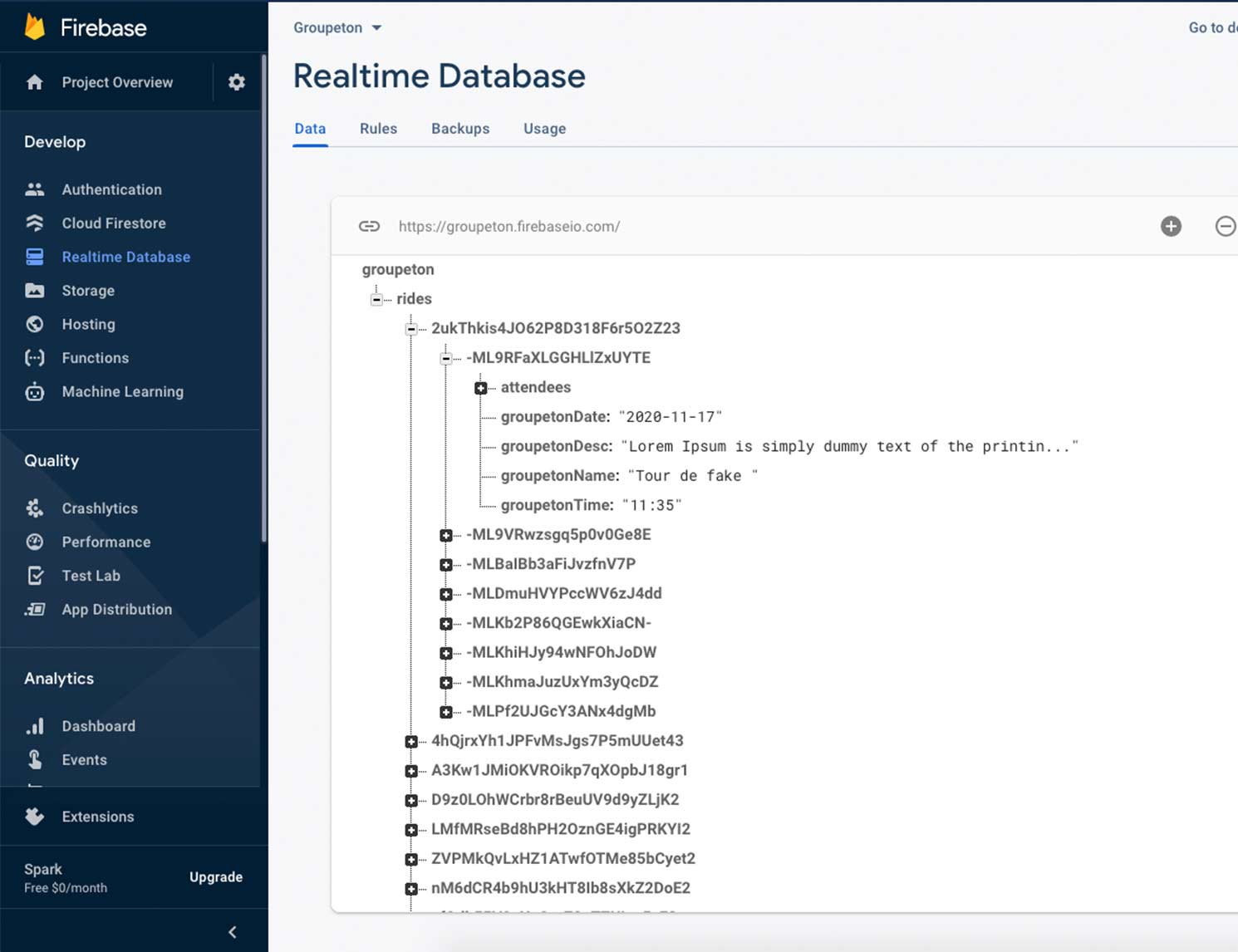 firebase database screenshot