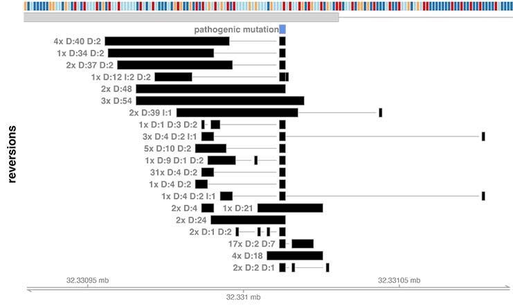 AARDVARK example output for ERR2851475