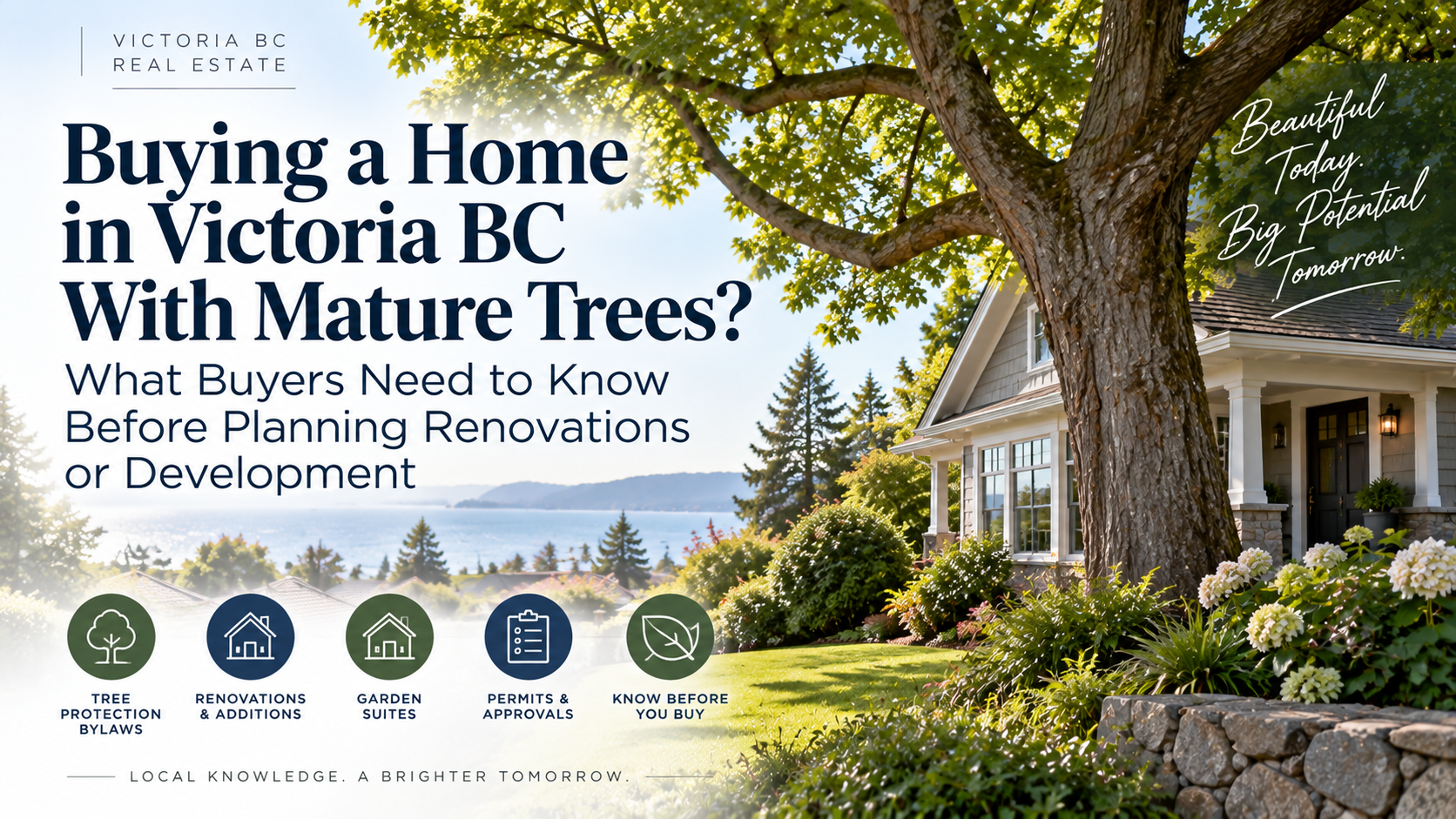 feature image of Buying a Home in Victoria BC With Mature Trees? What Buyers Need to Know Before Planning Renovations or Development