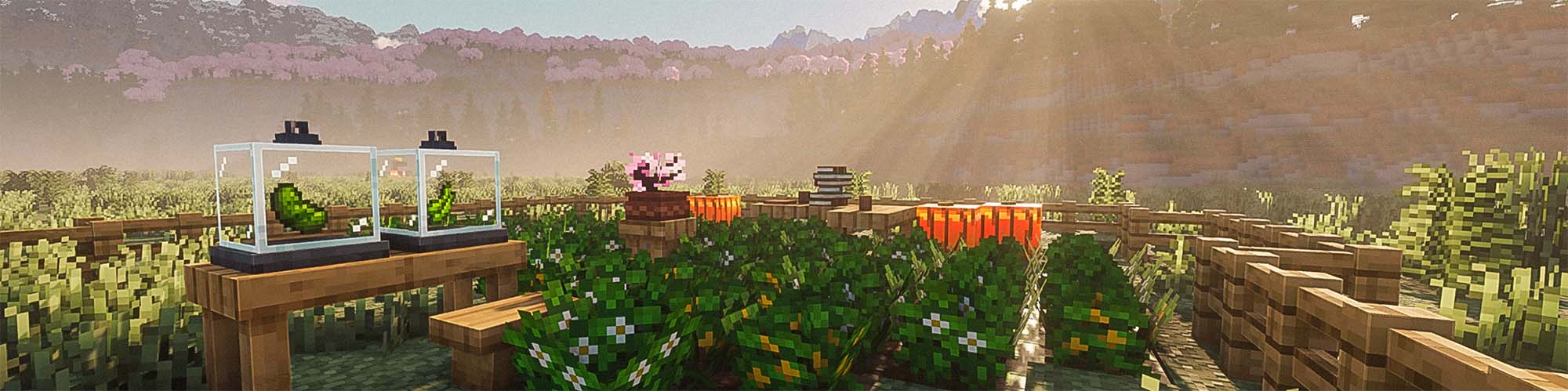 Cucumber and Green Bean Crops