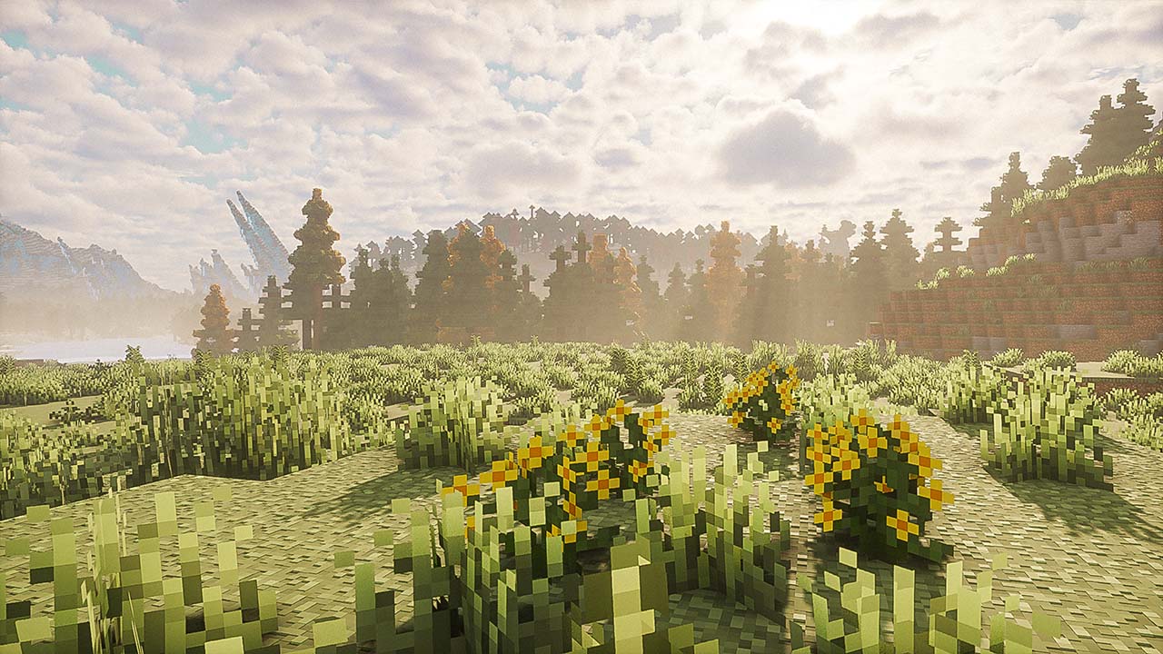 Wild Cucumber Bushes