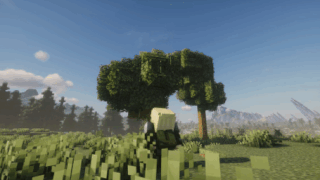 The tree heist part 1