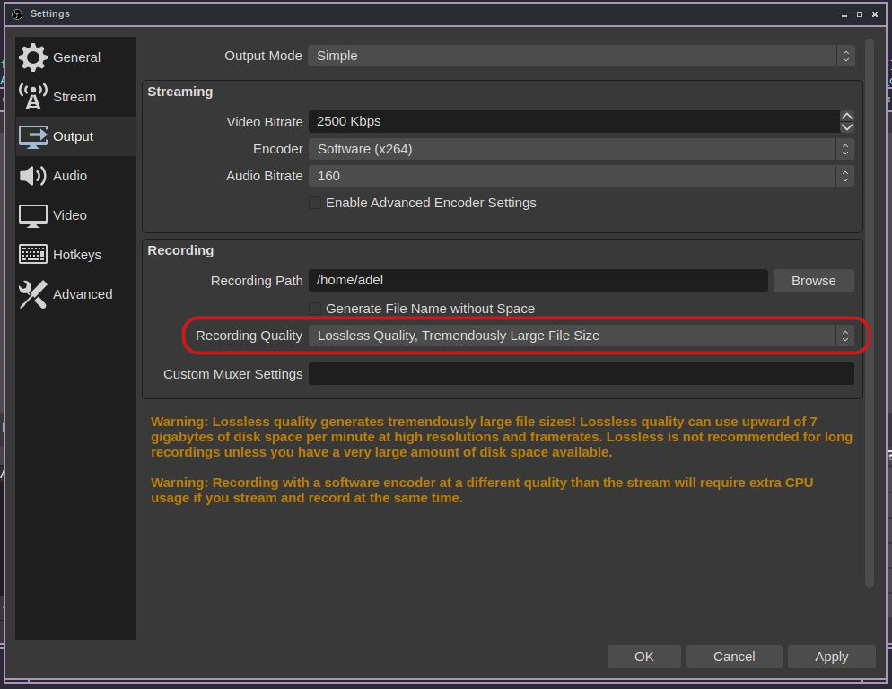 obs lossless recording setting
