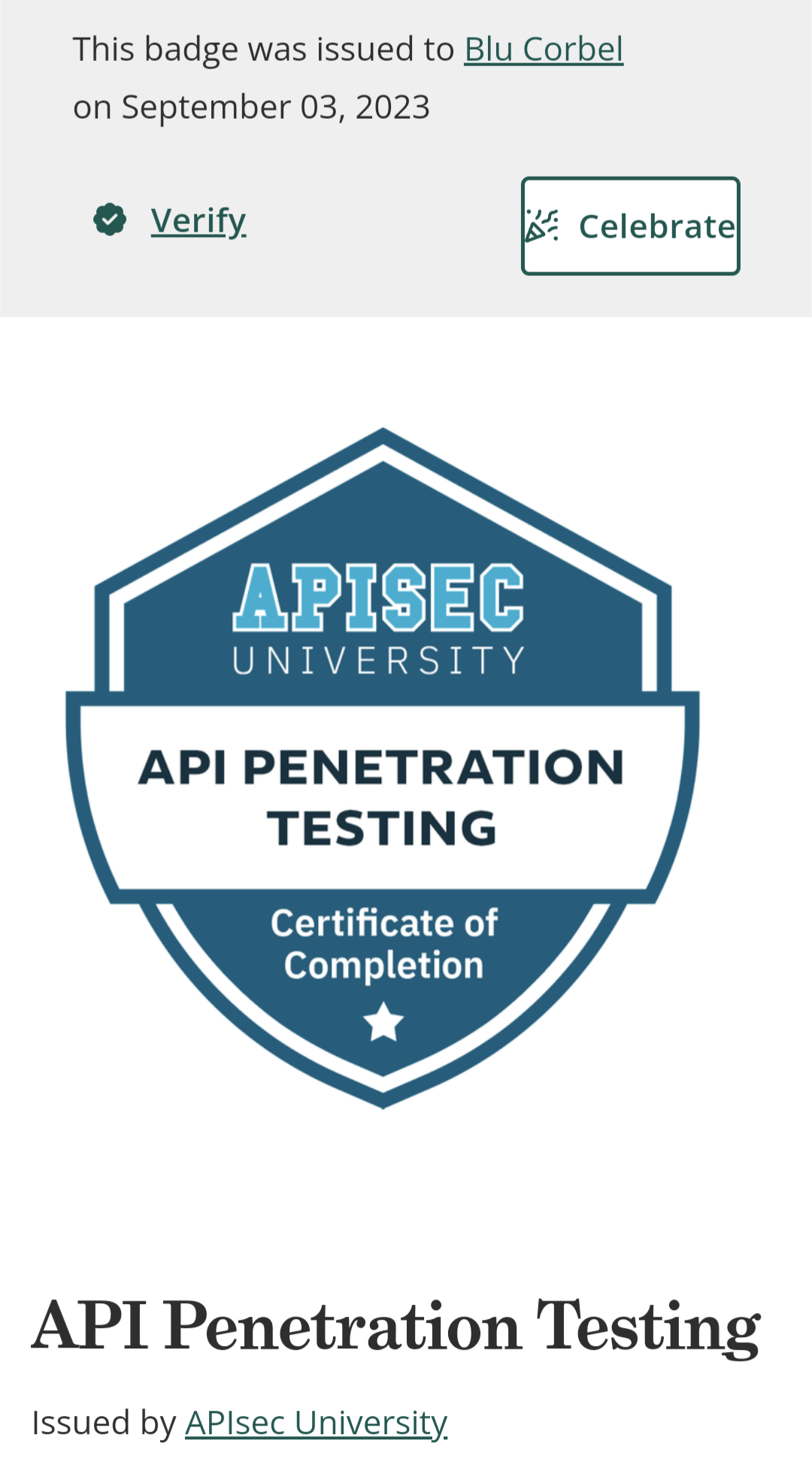 API Penetration Testing