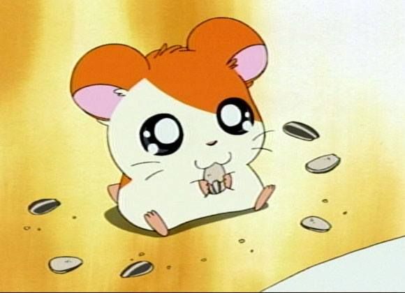 Hamtaro