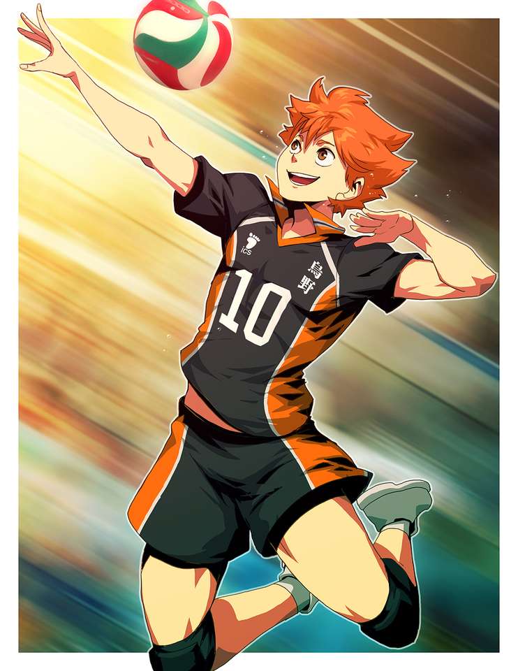 Shoyo Hinata