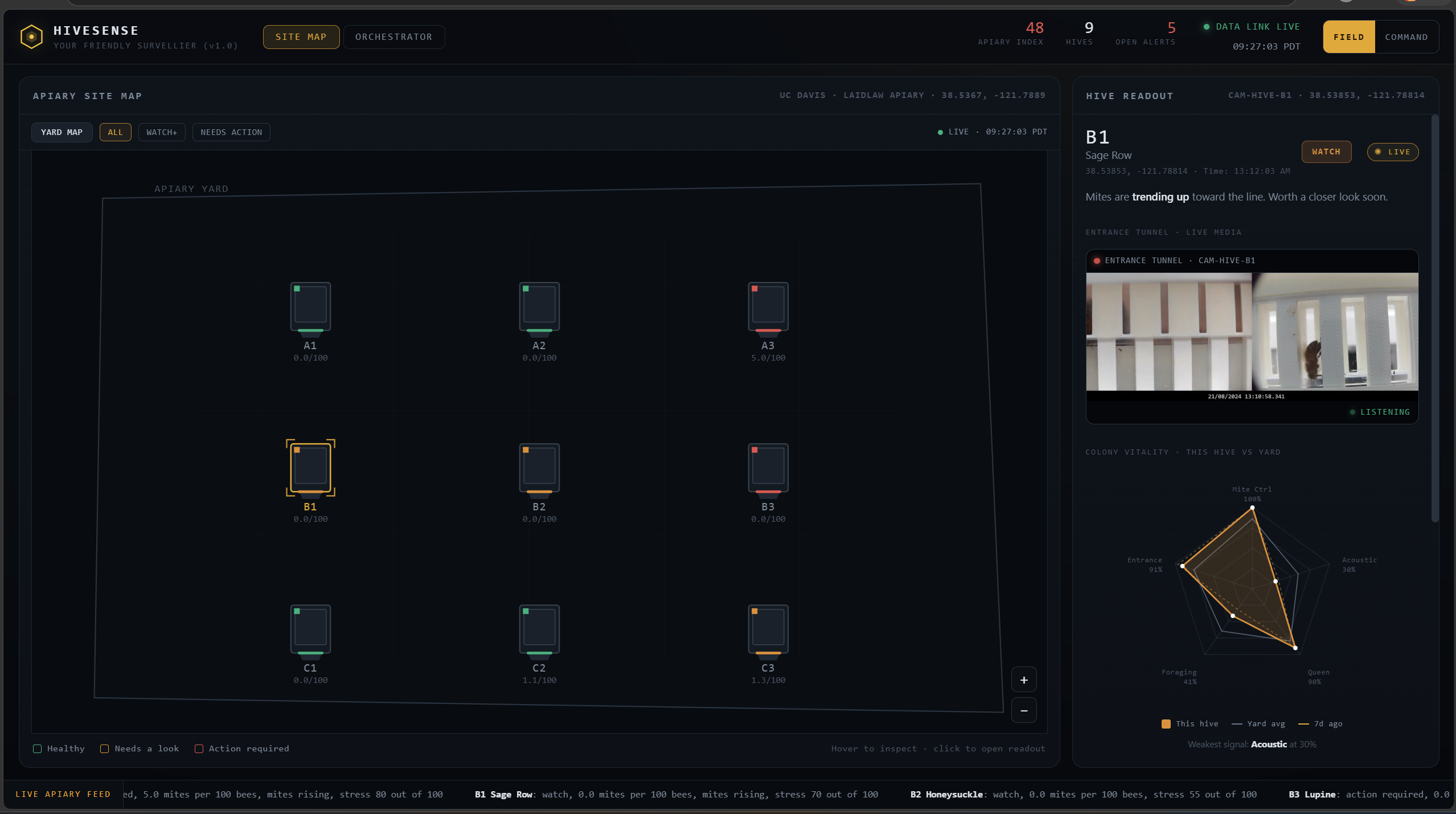 HiveSense dashboard overview