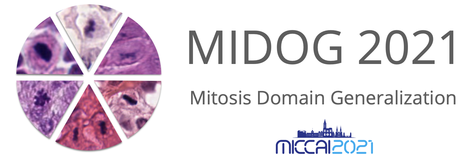 MIDOG logo