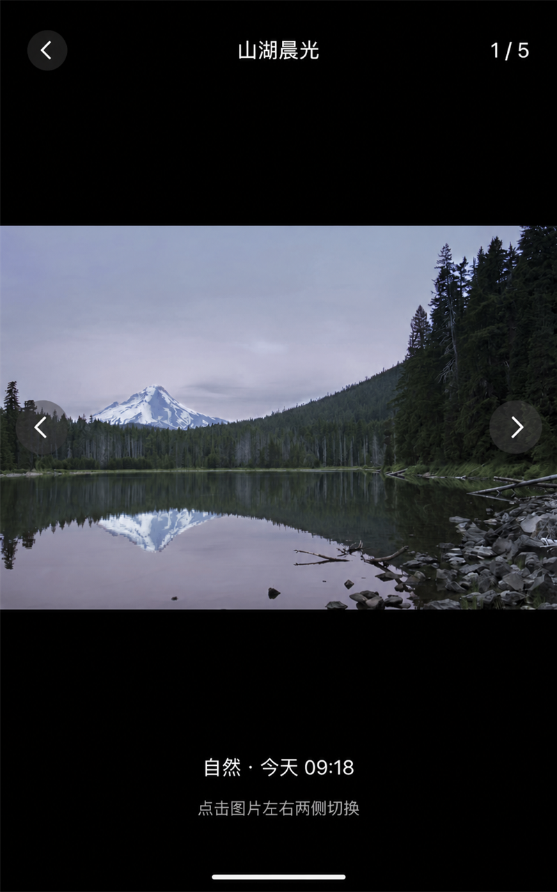 Gallery photo viewer
