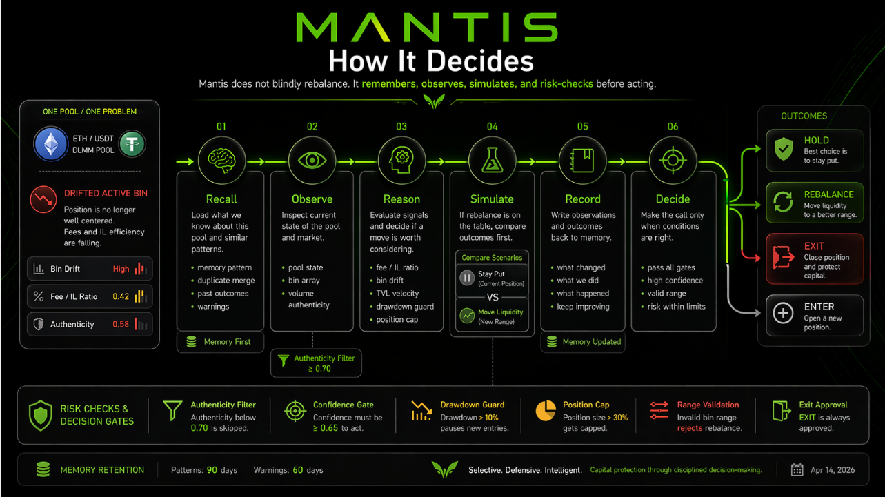 Mantis decision flow