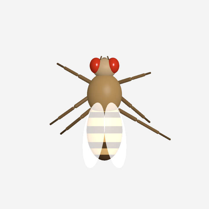 DesktopFly