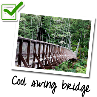 swingbridge