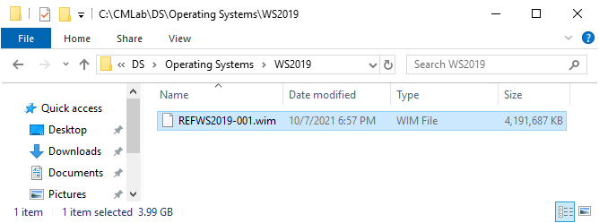 The Windows Server 2019 Standard image copied.