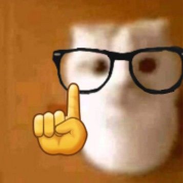 Nerd cat
