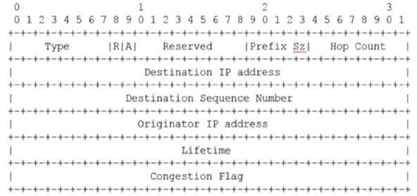 New-RREP Packets