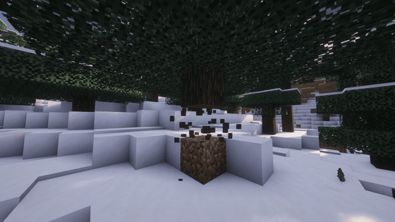 A tree falling over