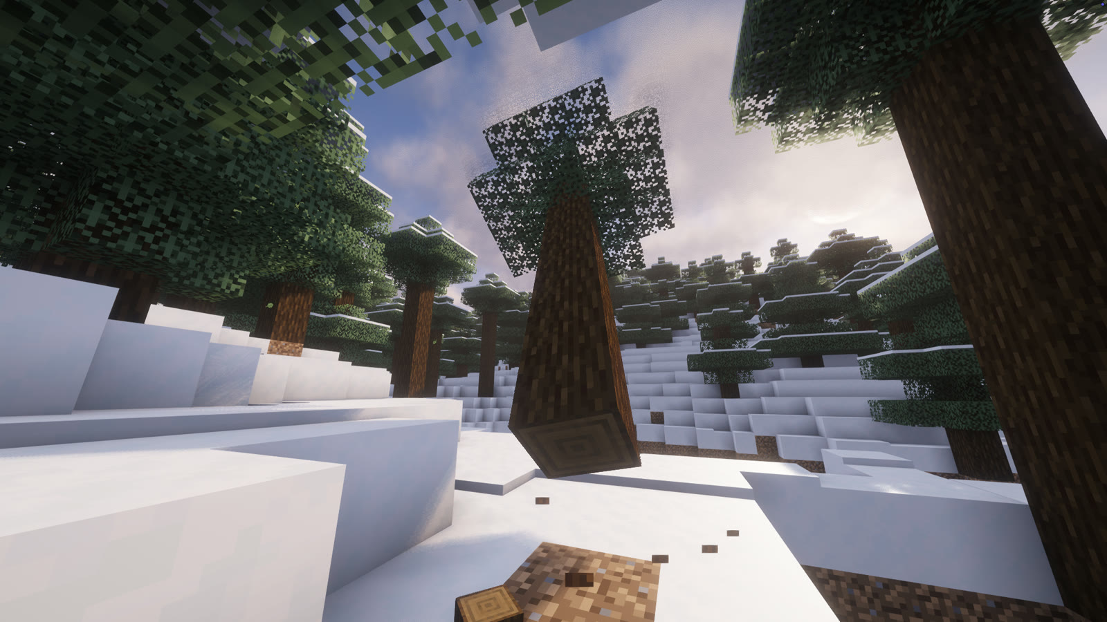 Tree in mid fall