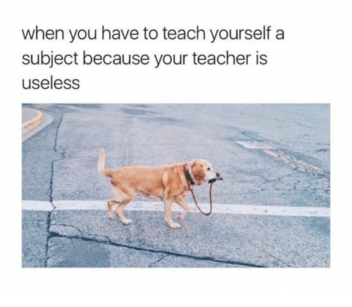 when-your-teacher-is-useless