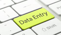 Data Entry and Analysis Services