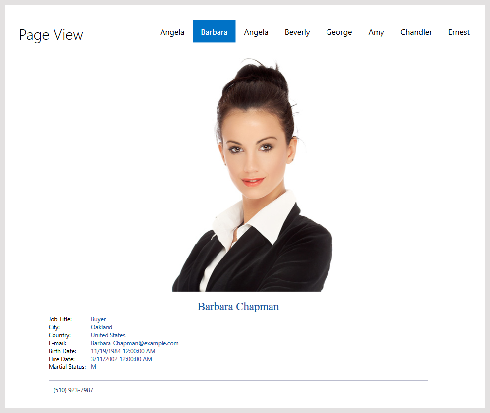 WPF PageView - Create Page Content Container, DevExpress