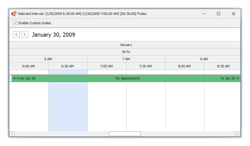 WinForms Scheduler - Display discontinuous custom time scales in Timeline view