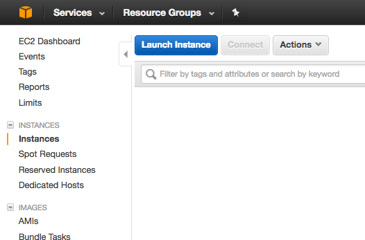 Launch instance