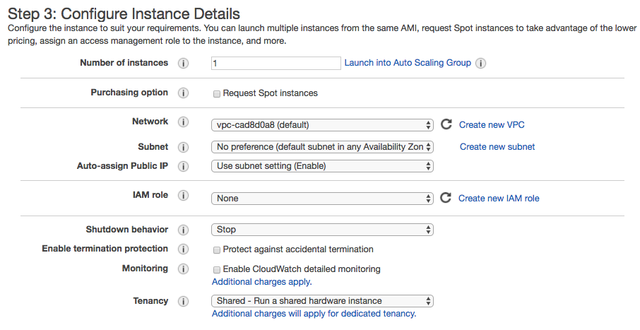 Instance details