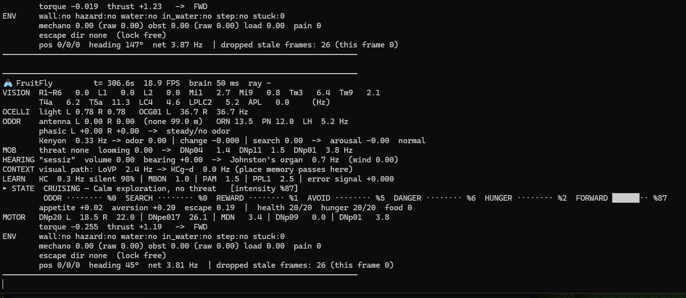 terminal