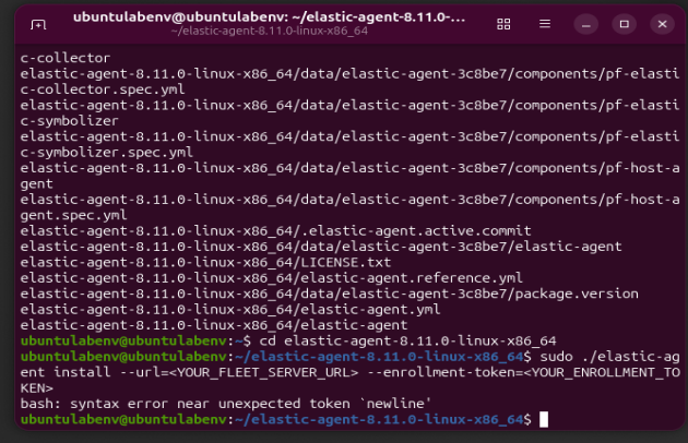 Agent CLI 语法错误