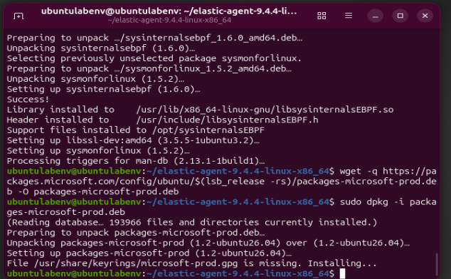 Sysmon 包升级检查