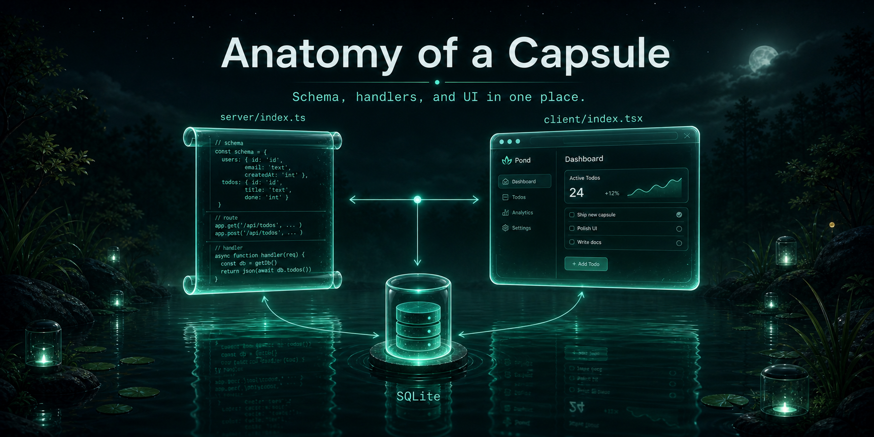Pond capsule anatomy diagram