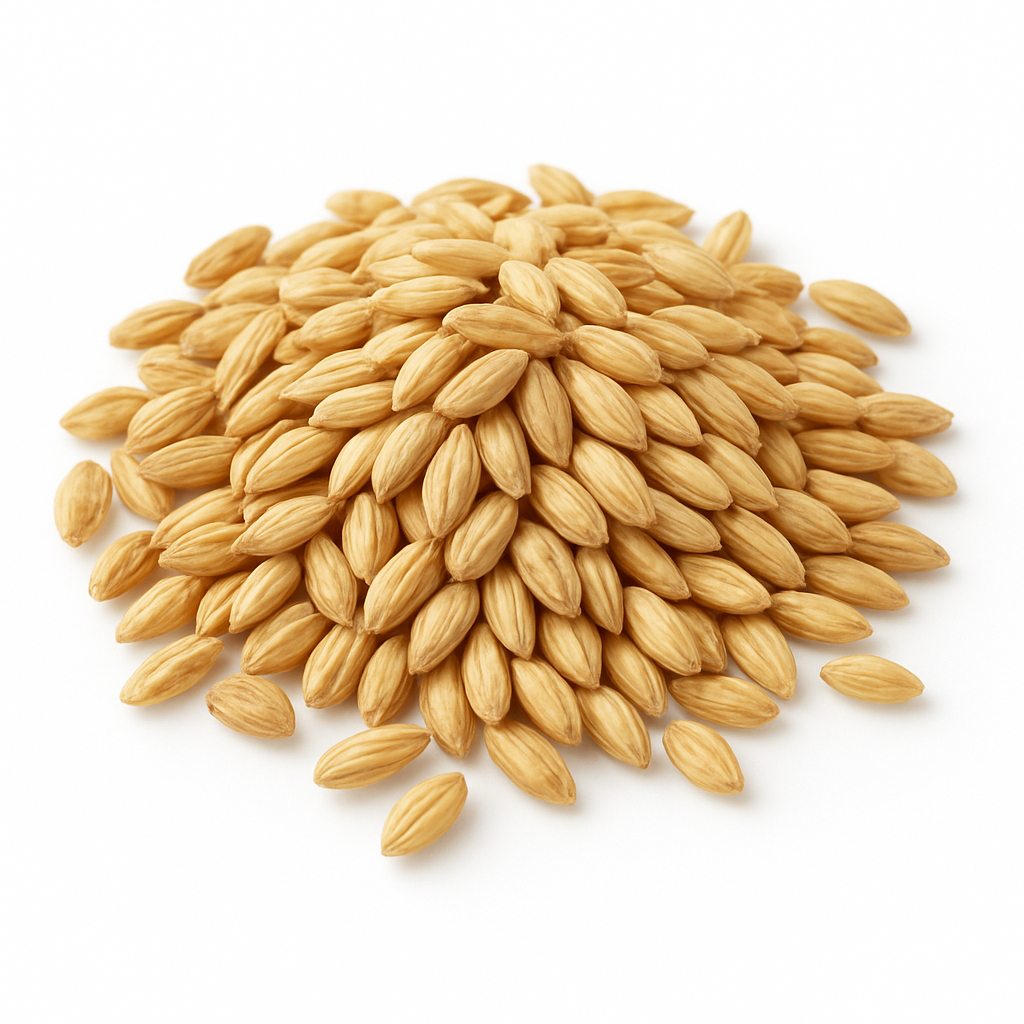 Barley