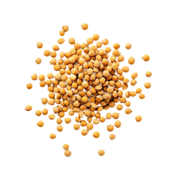 Mustard