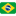 Brazil Flag