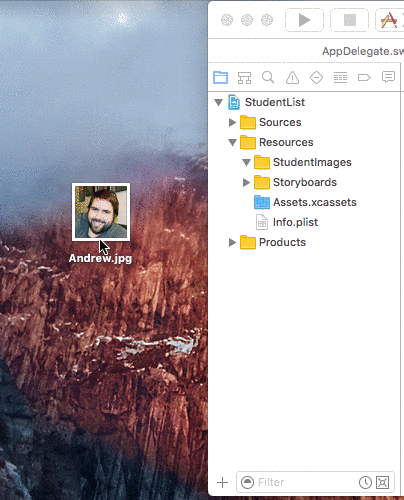 Drag Image into Xcode