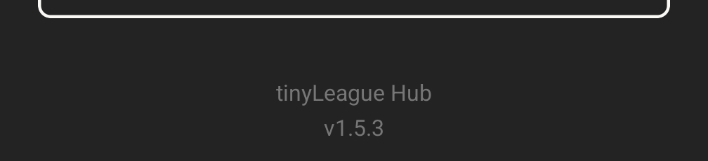 The bottom of the App Settings screen, showing the app name and version number beneath the last settings group