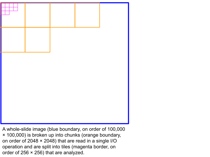 A whole-slide image (blue boundary, on order of 100,000 × 100,000) is broken up into chunks (orange boundary, on order of 2048 × 2048) that are read in a single I/O operation and are split into tiles (magenta border, on order of 256 × 256) that are analyzed.