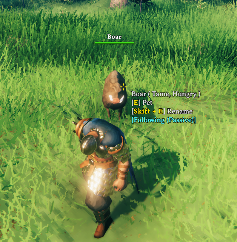 Newly Tamed Companion