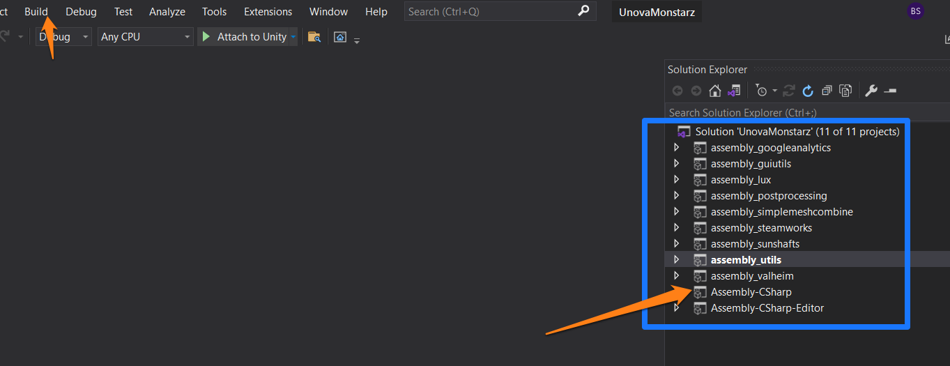 Visual Studio project view