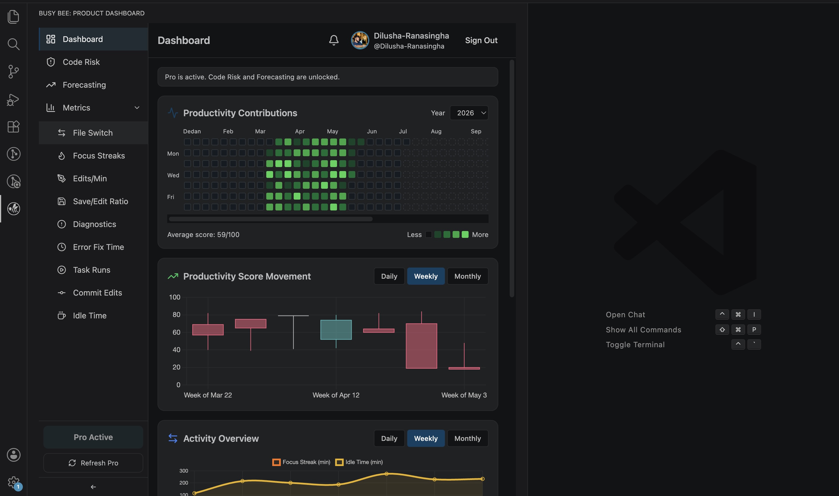Busy Bee dashboard preview inside VS Code