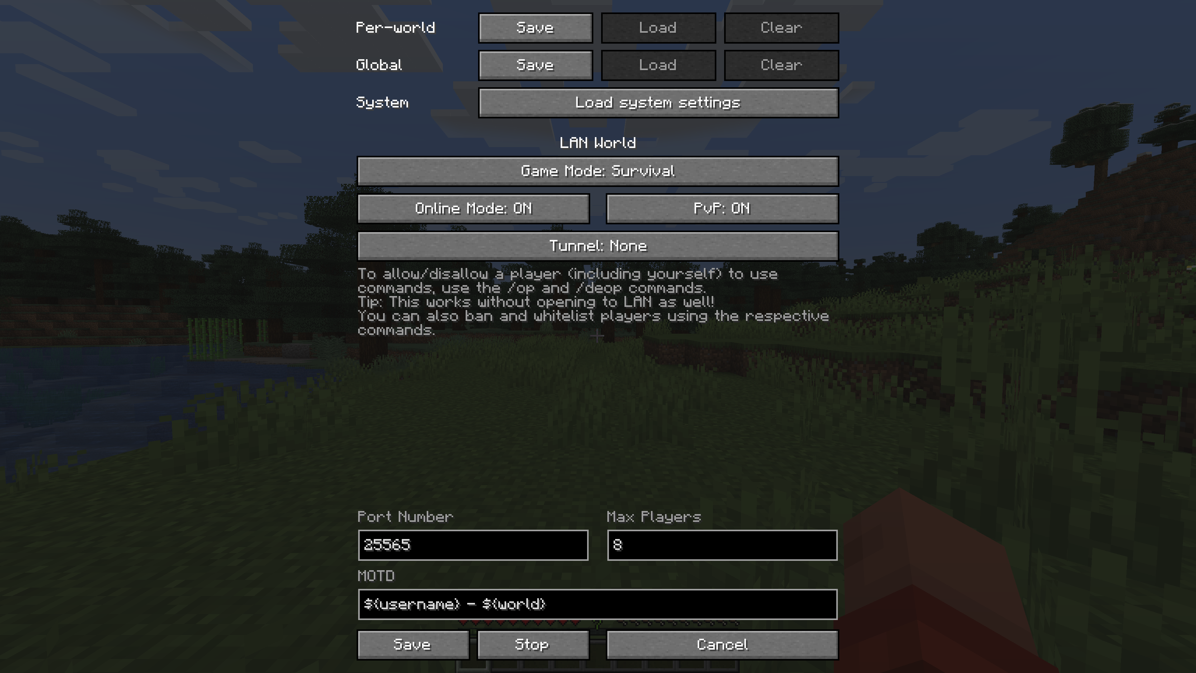 Screenshot of Custom LAN