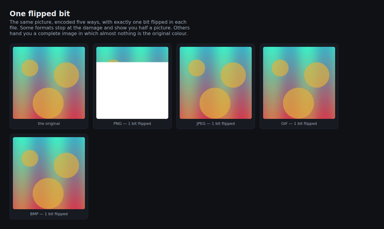 The same image as PNG, JPEG, GIF and BMP, each with one bit flipped
