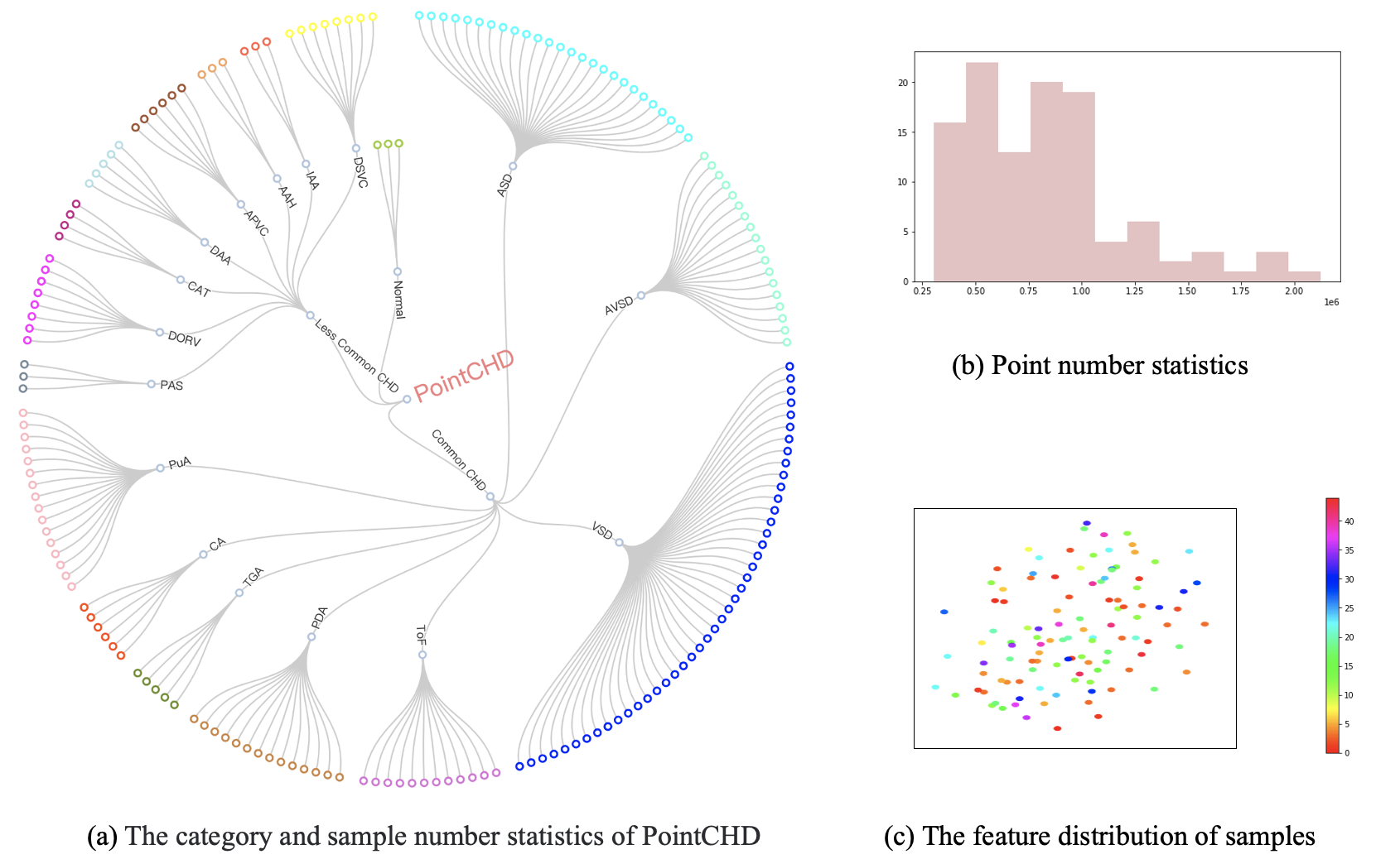 pointchd_overview