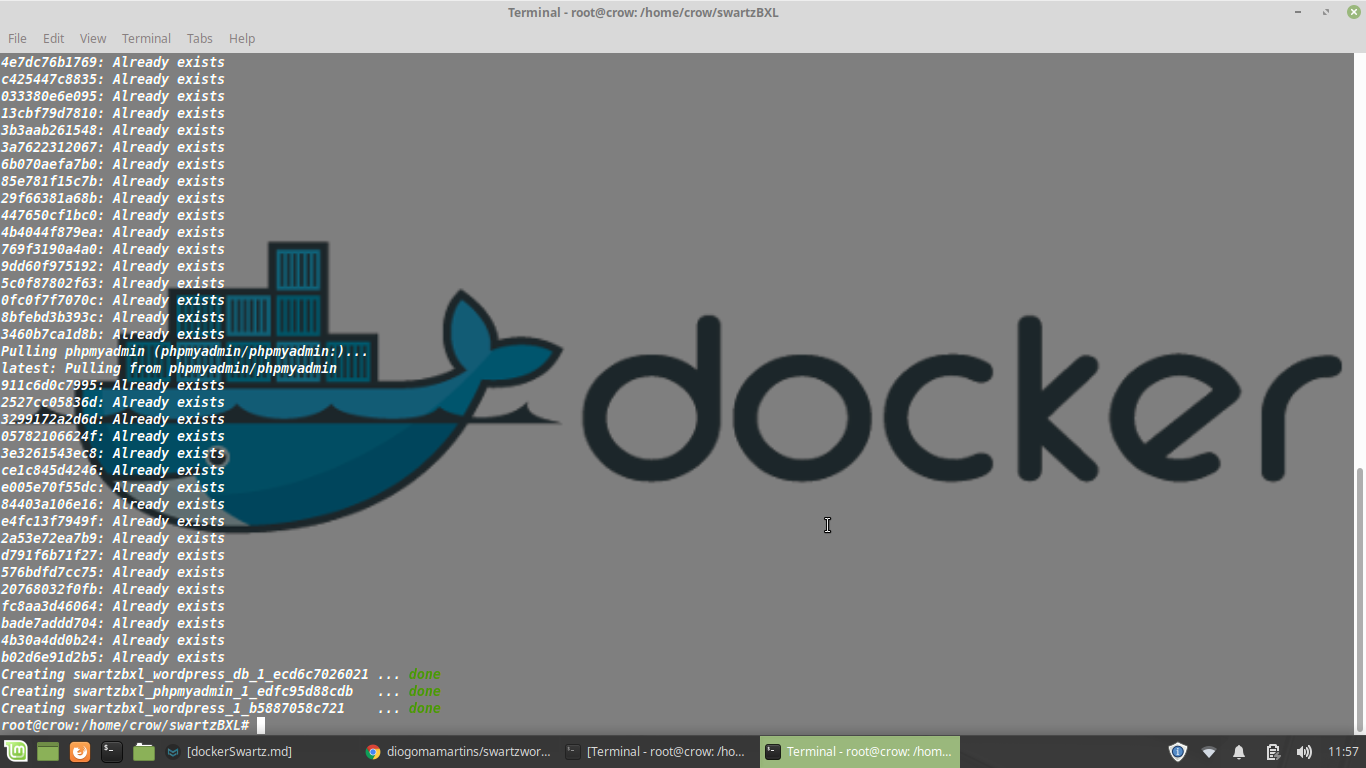 dockerRun