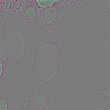 Guided Grad-CAM output
