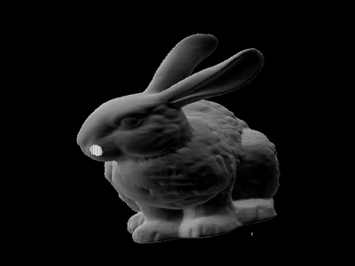 Bunny 360° animation