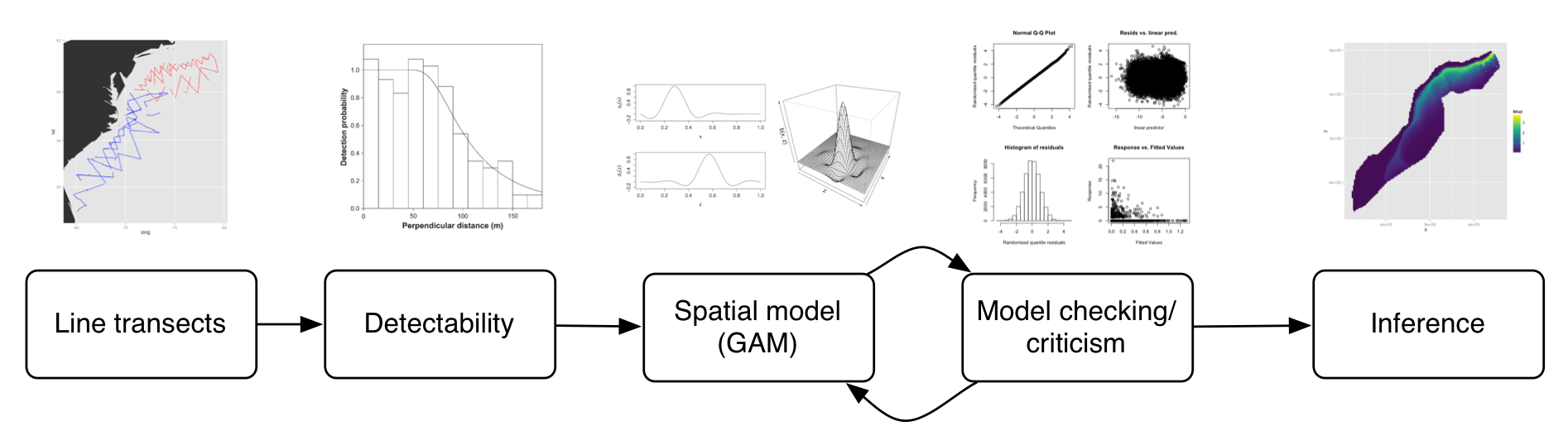 DSM process flow diagram