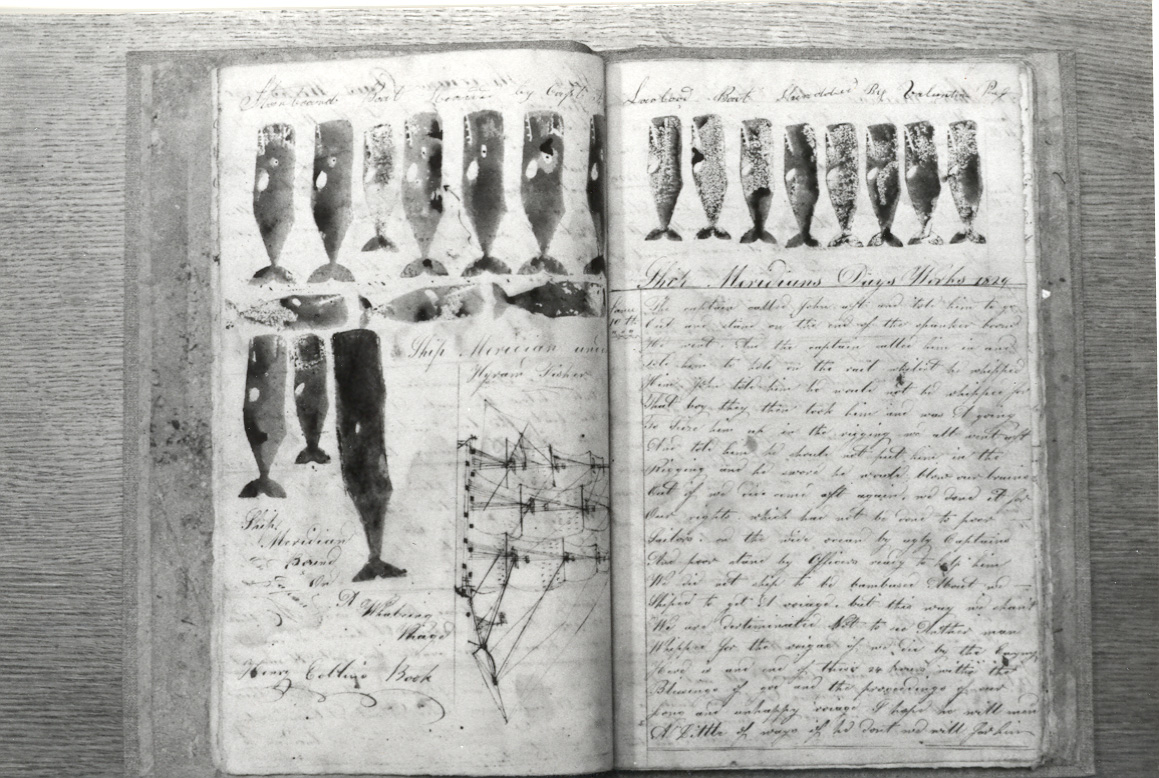 "Whaling Log Book"